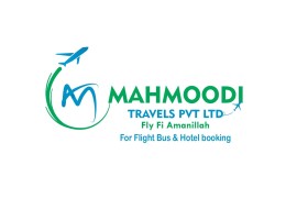 mahmooditravels.com