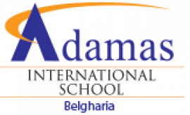 adamasinternationalschool.org