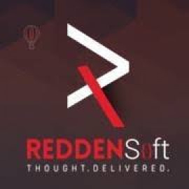 reddensoftinstitute.com